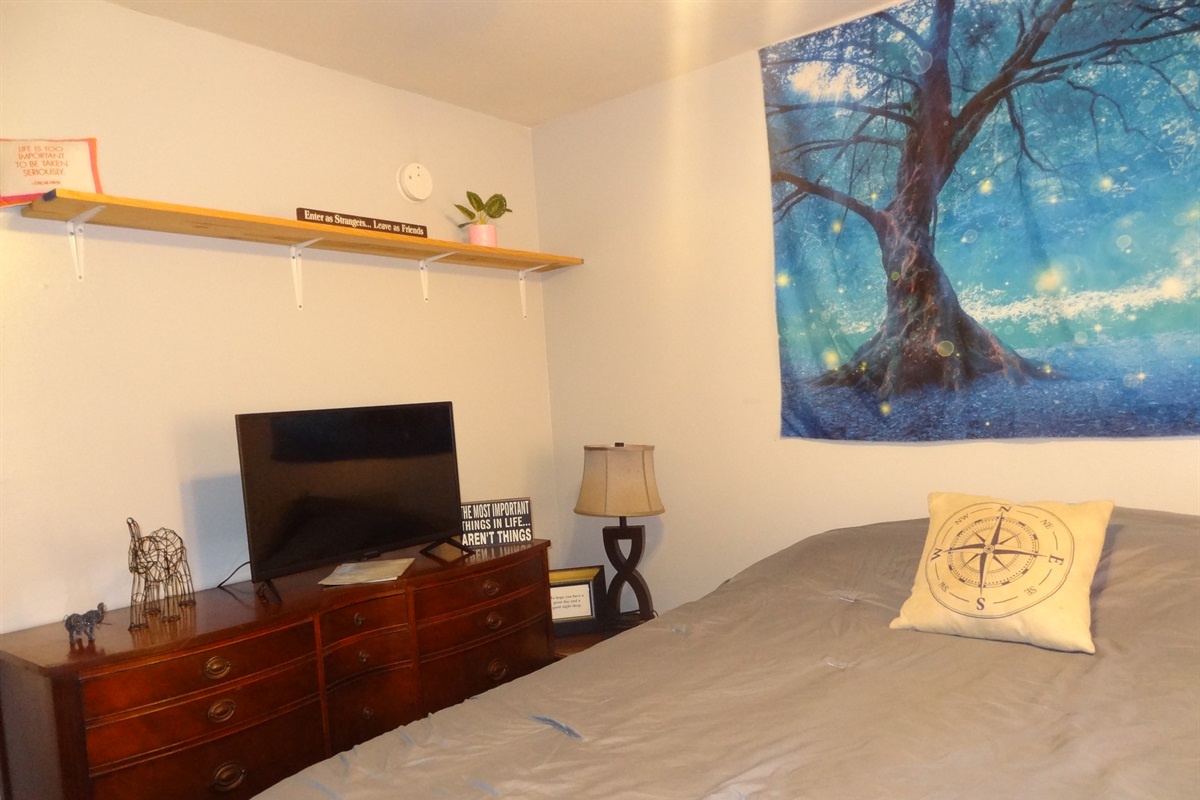 Master bedroom with queen bed, Roku smart TV, dresser, ceiling fan, and desk