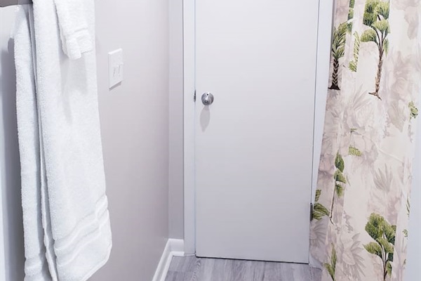 Bathroom entry & shower 