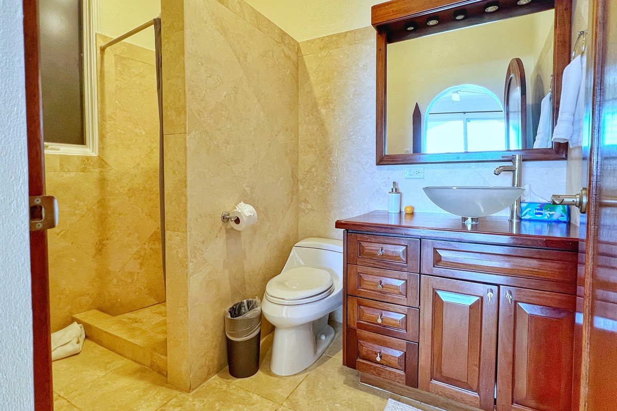 Full ensuite bathroom with walk in shower.