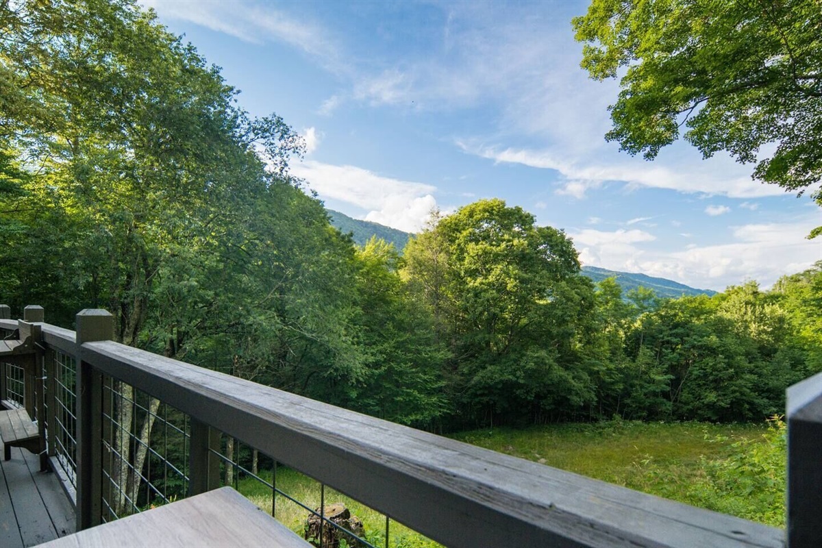 Unit 5: Mountain view from back deck