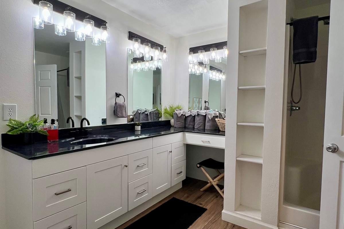 Lower level bathroom with large vanity