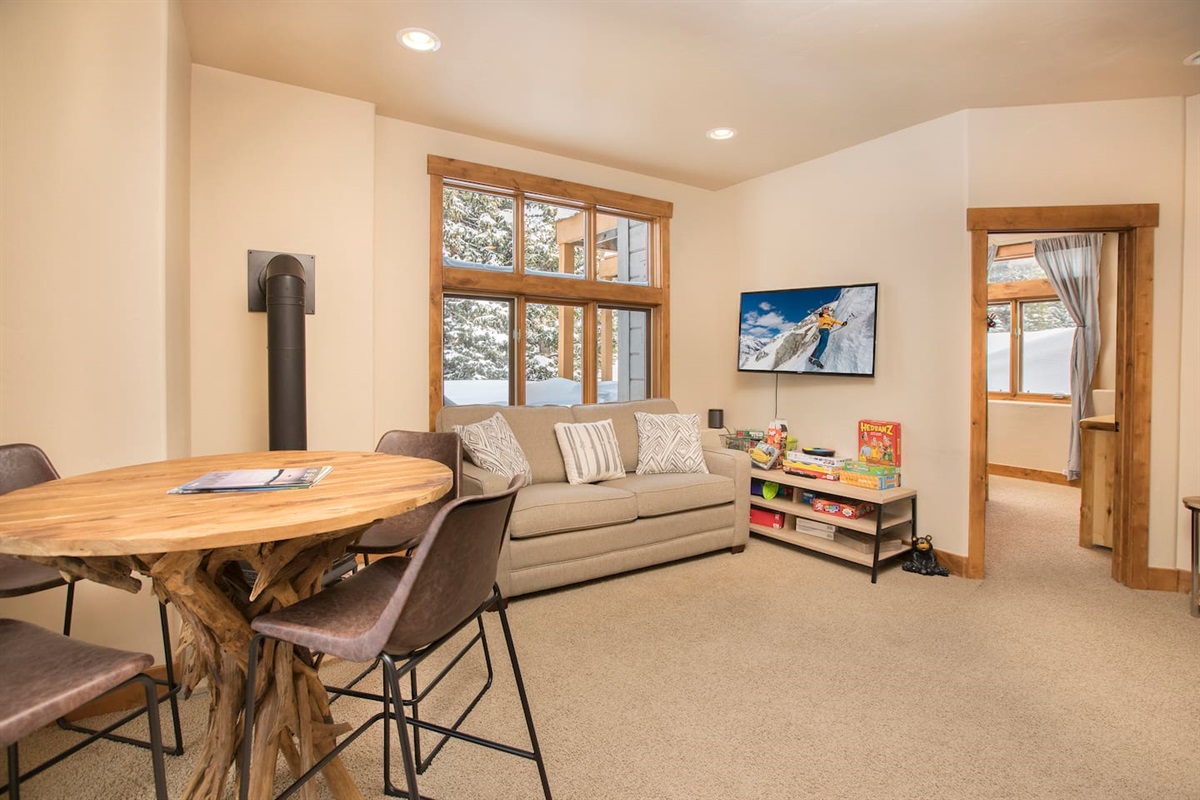Lower level living area