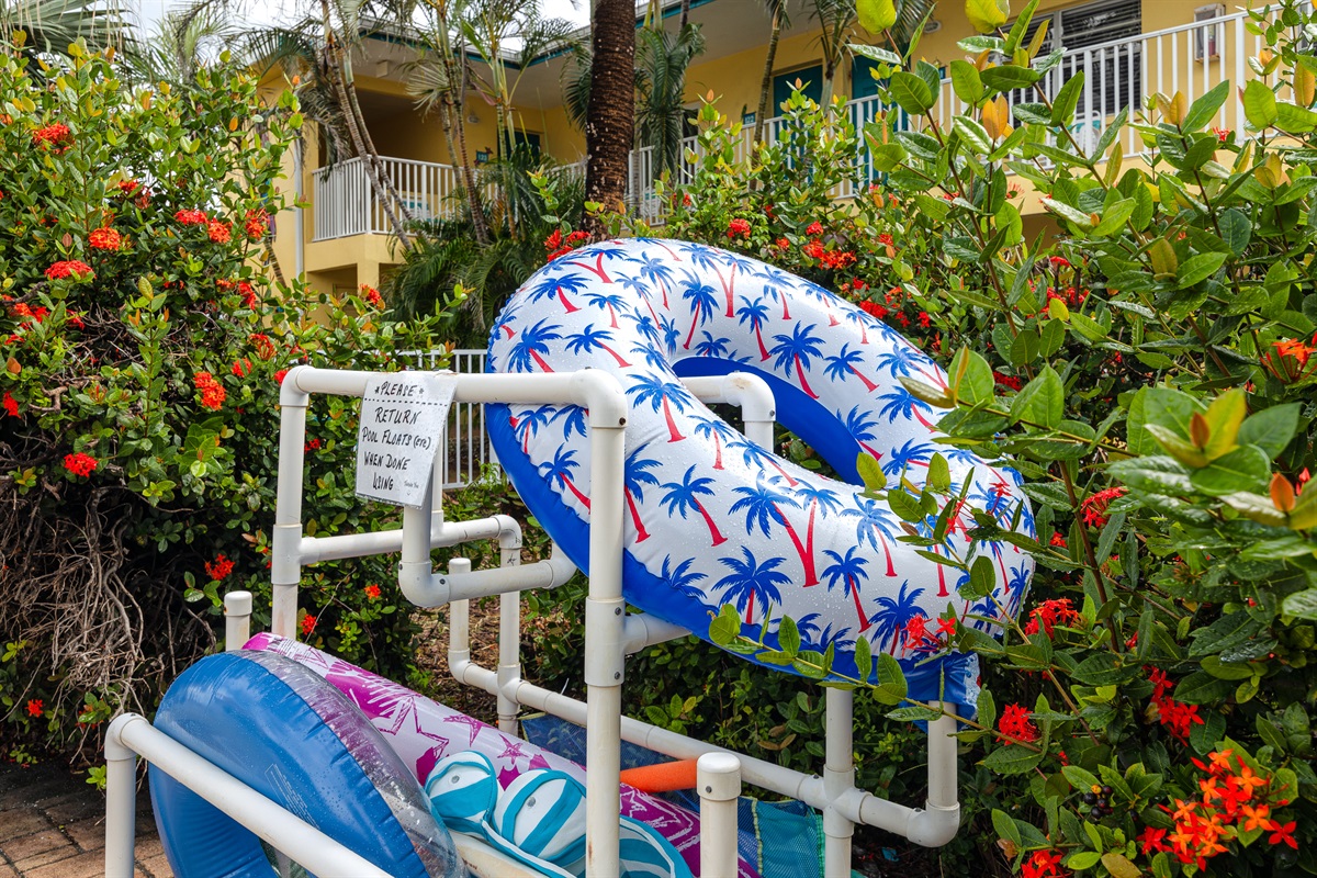 Plenty of pool toys