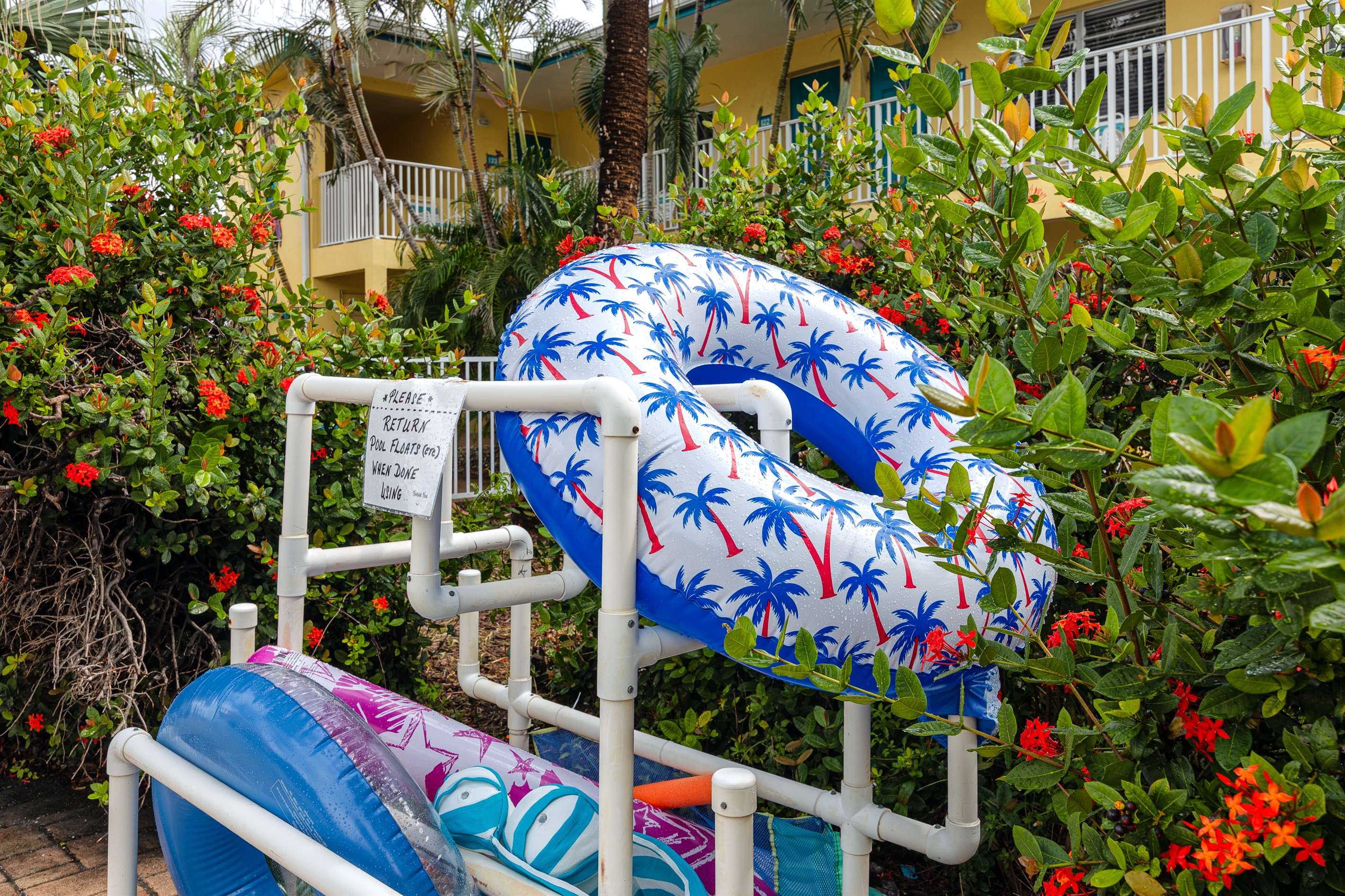 Plenty of pool toys