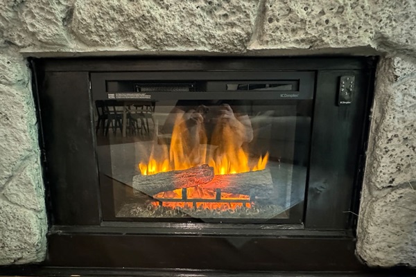 Electric fireplace and heater