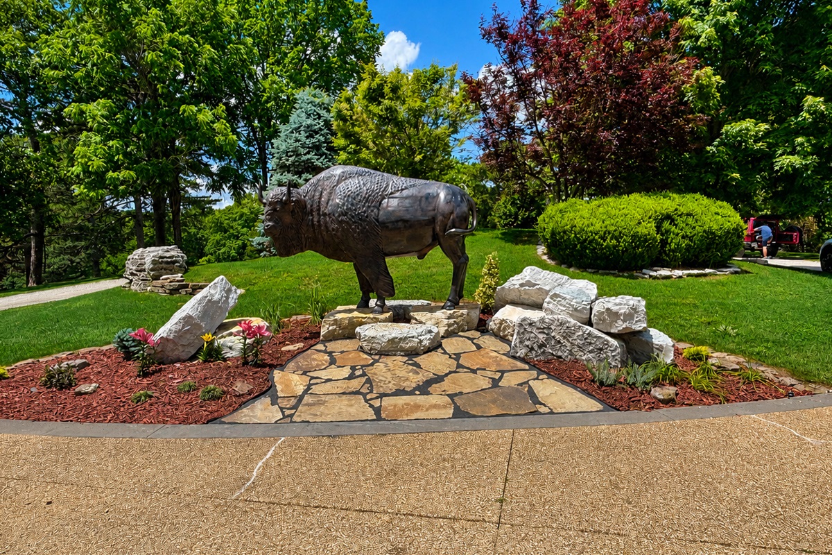 Take a family photo around our new Buffalo!