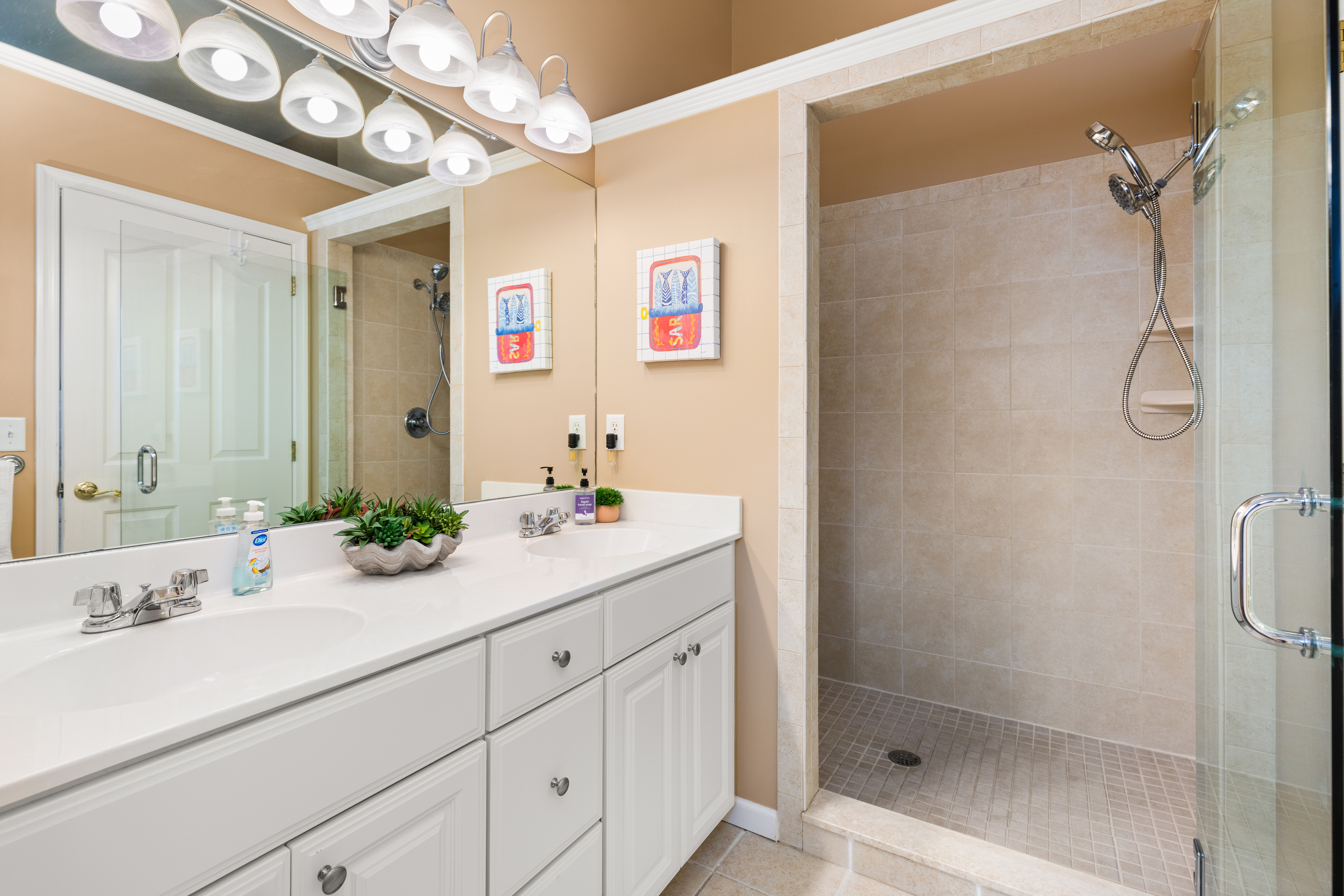 Spacious walk-in shower
