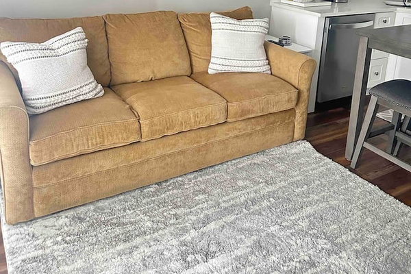 Living room sleeper sofa