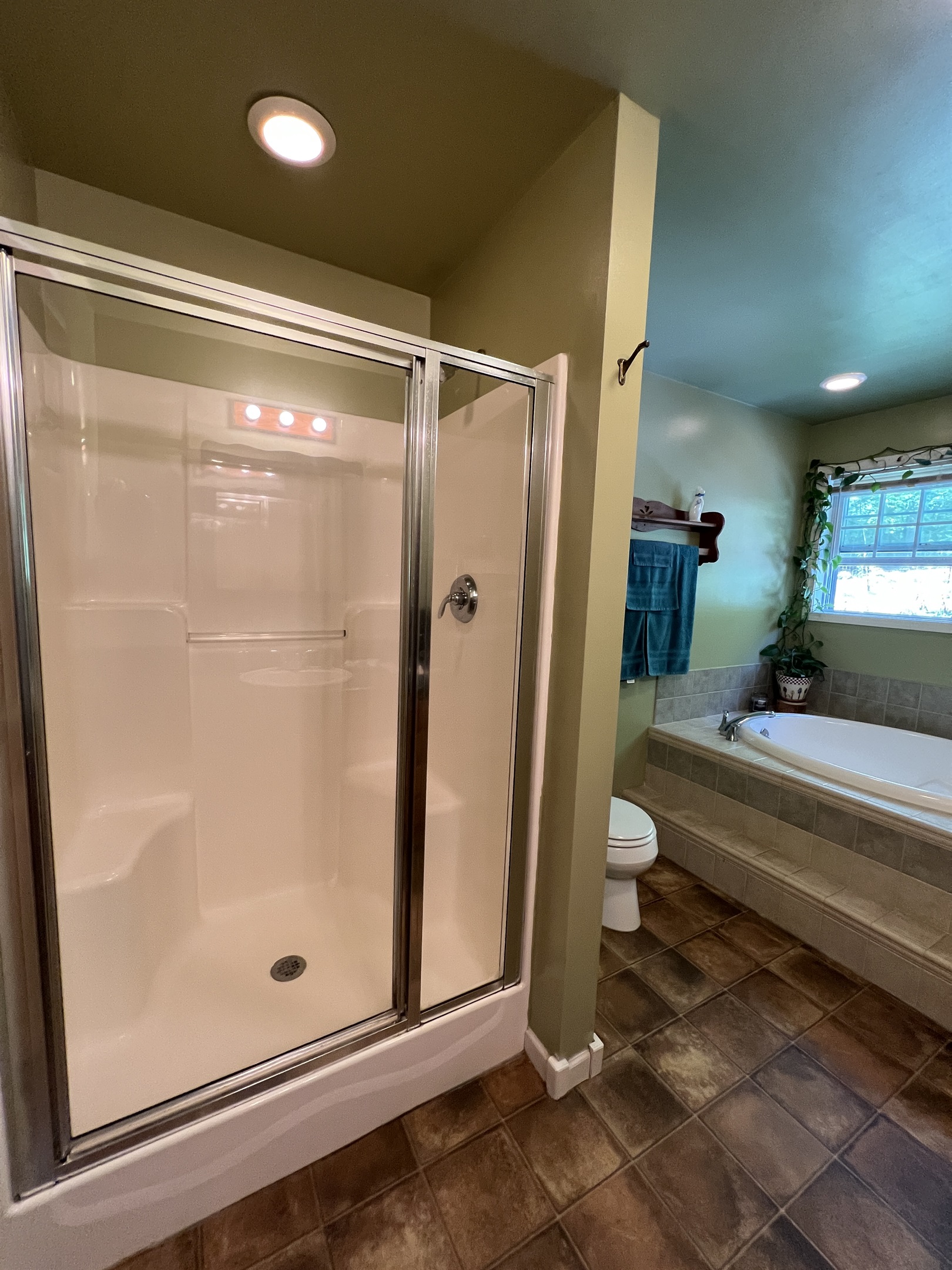Garden Room - bath with shower and soaking tub