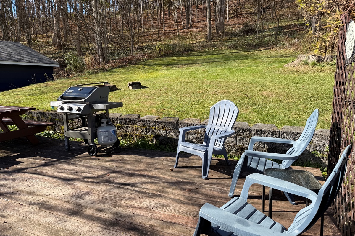 Diamond Dreams back deck with seating and gas grill.