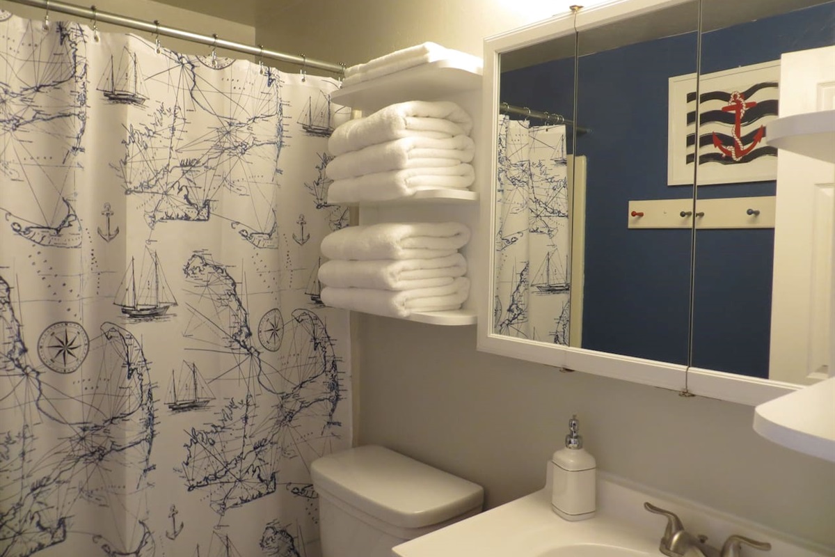 main bath shower/tub combo