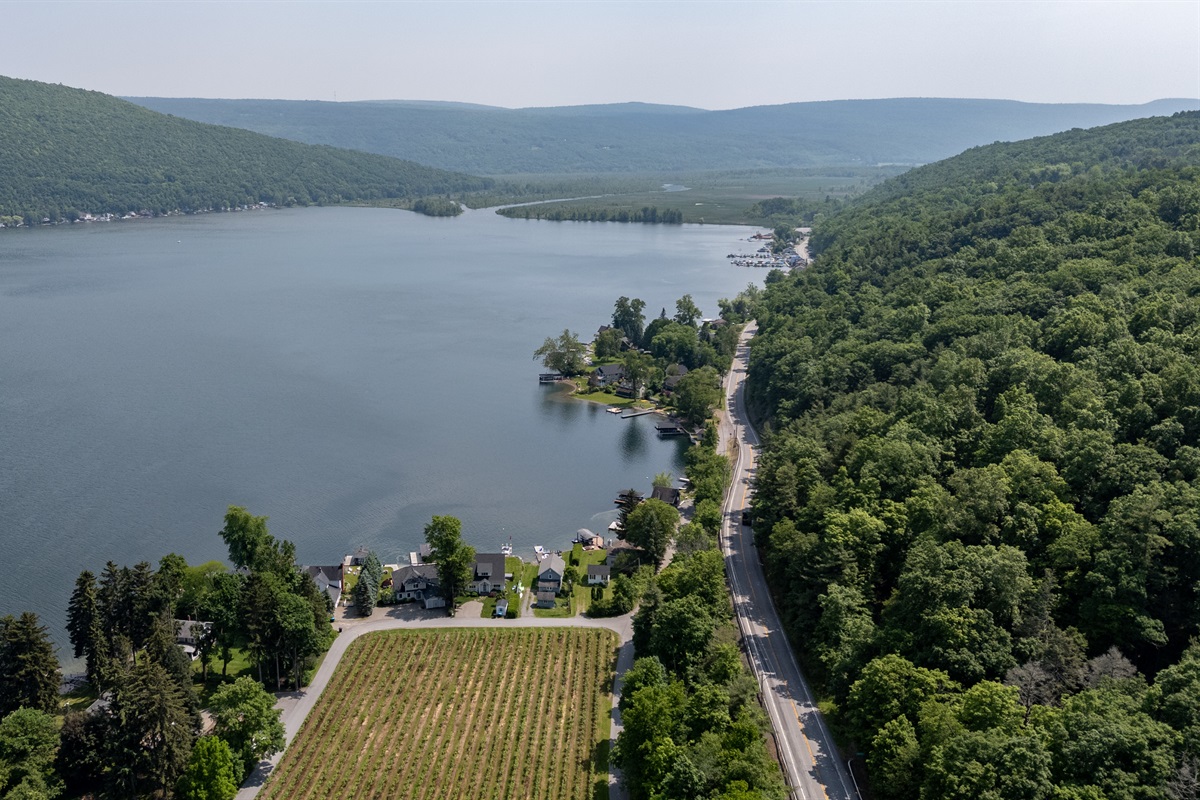 An expansive panoramic of the Finger Lakes—rolling hills, forest-lined shores, and tranquil waters highlight the unmatched natural beauty of this destination.