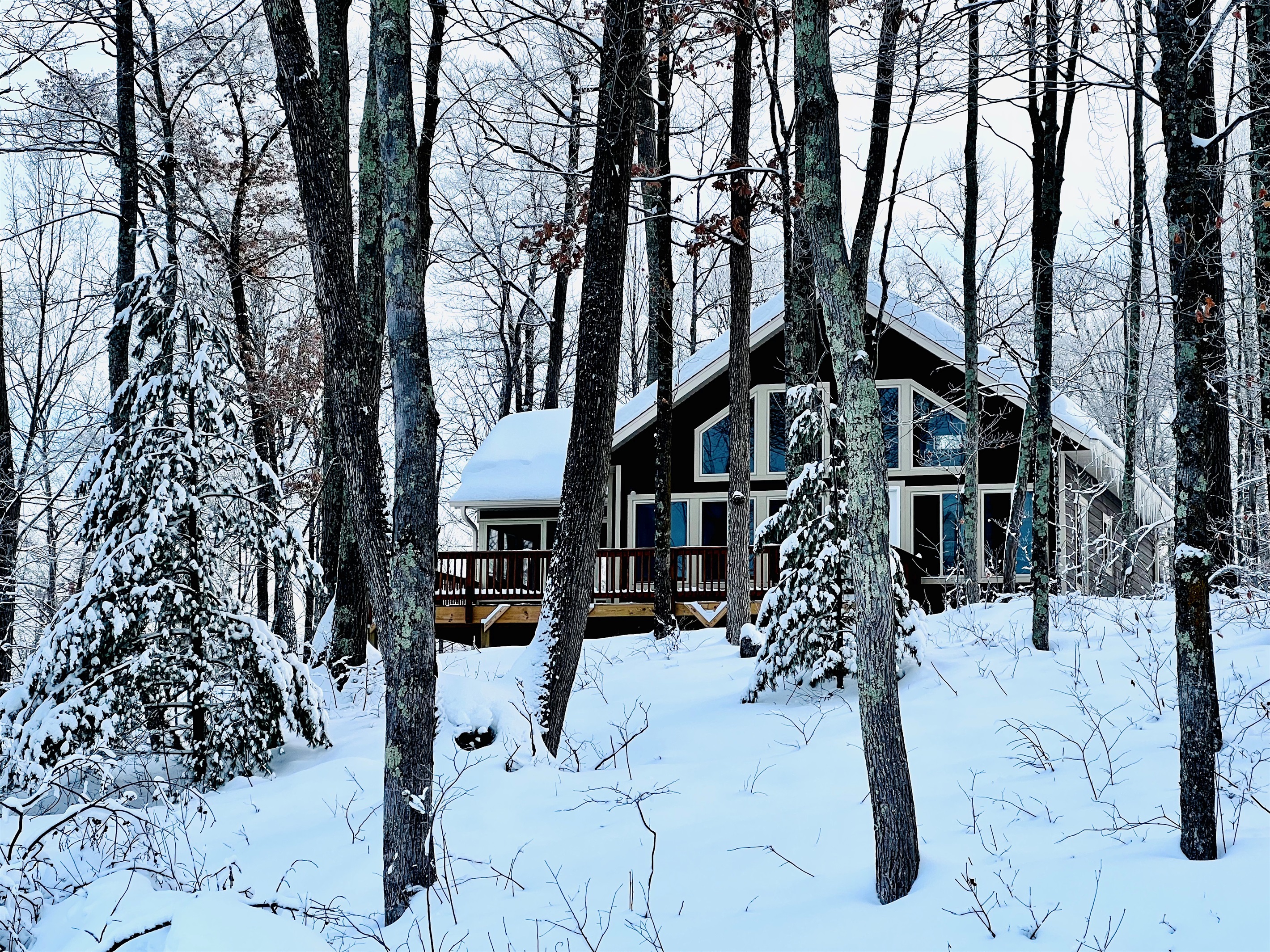 Welcome to Cattail Cottage!