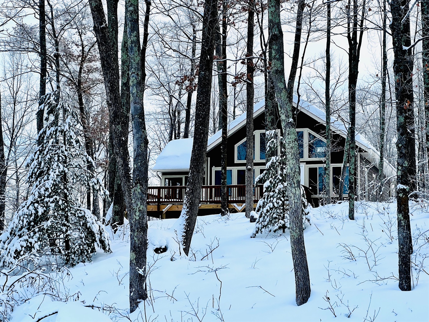 Welcome to Cattail Cottage!