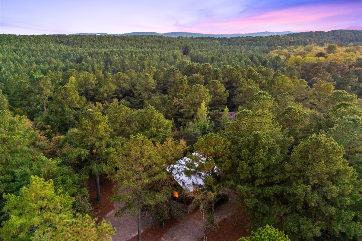 Aerial view of the cabin nestled in the trees for complete privacy.