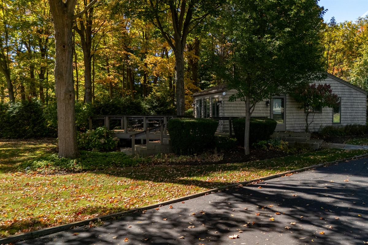 Cozy wooded retreat with peaceful outdoor seating and mature trees, perfect for quiet mornings and relaxing getaways.