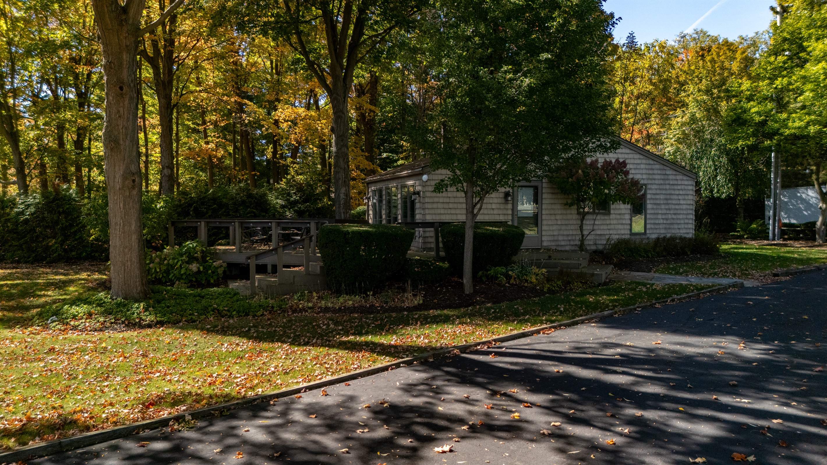 Cozy wooded retreat with peaceful outdoor seating and mature trees, perfect for quiet mornings and relaxing getaways.