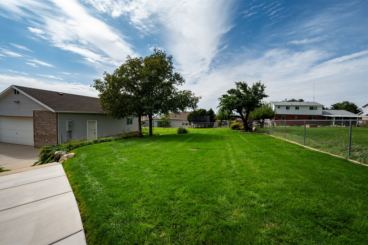 Fenced in Yard