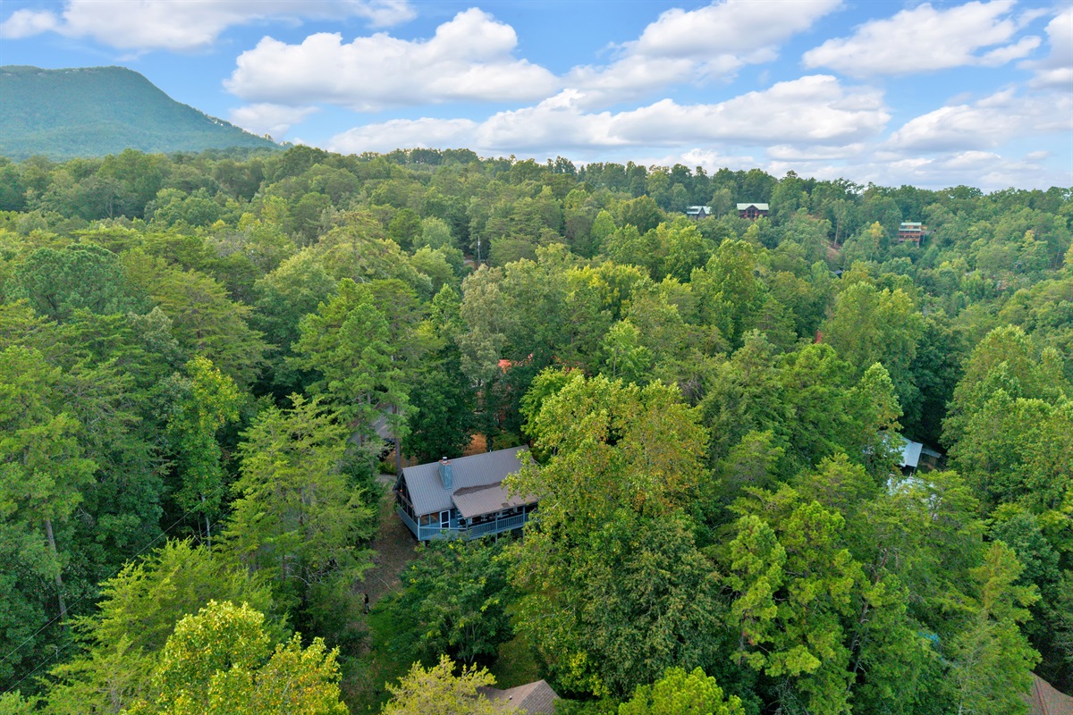 Bird’s-eye view of the cabin nestled among the trees, with just the right balance of privacy and convenience