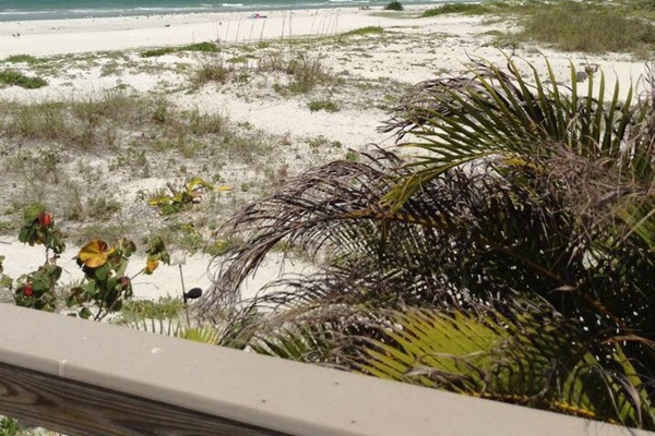 The beach is across the street from the complex 