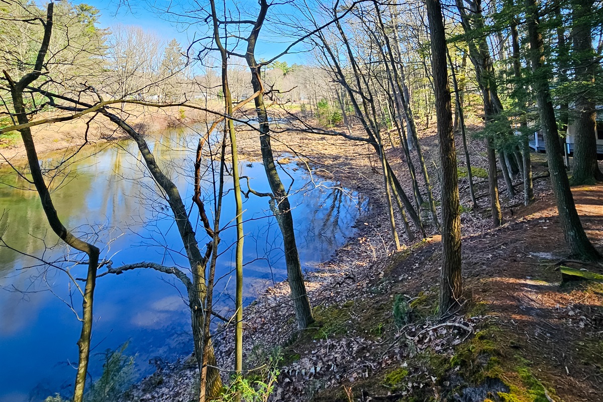 Stony Creek