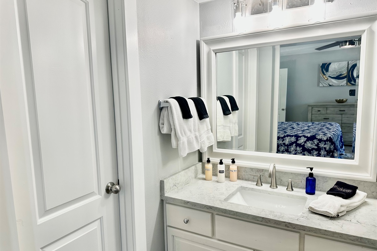 Newly renovated bathroom!  And, that door leads to a walk-in closet.