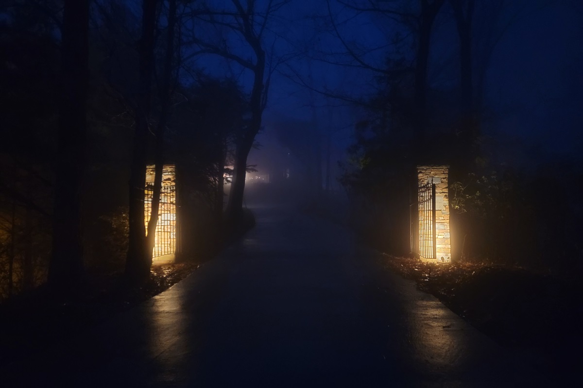 Landscaping lights on the driveway