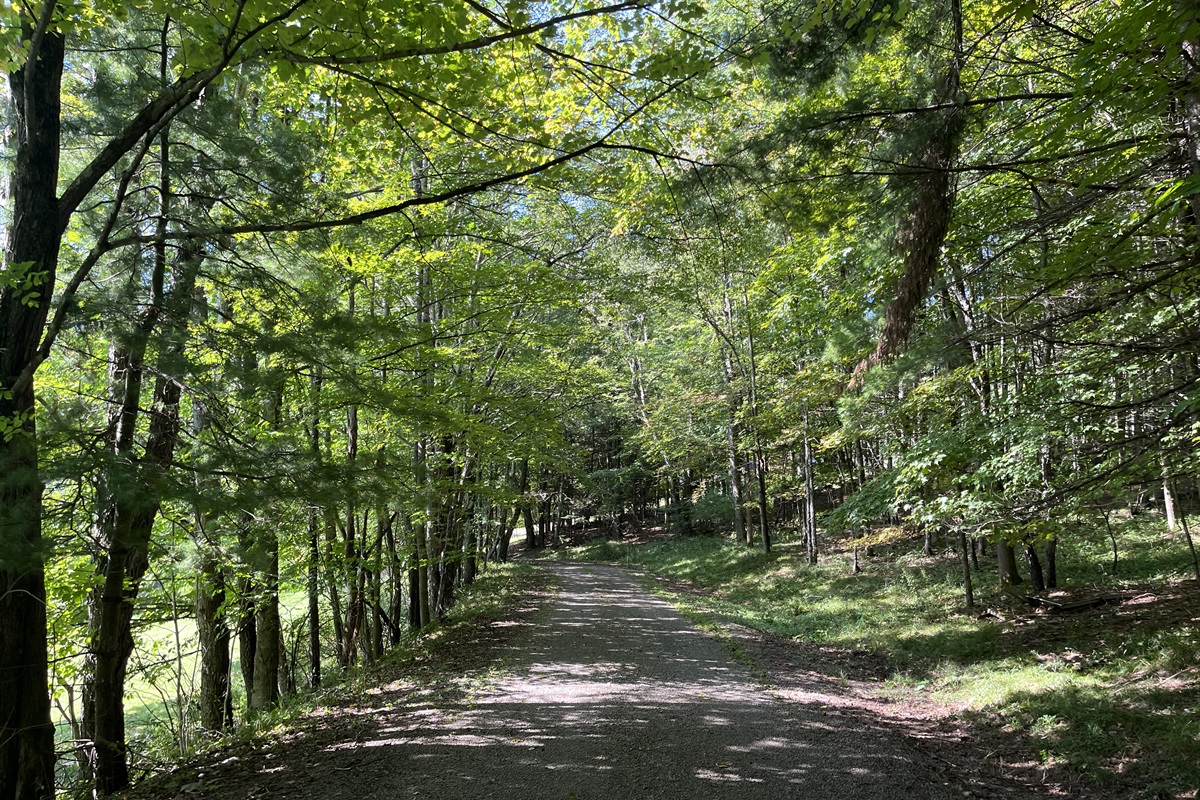 Almost there, keep going!