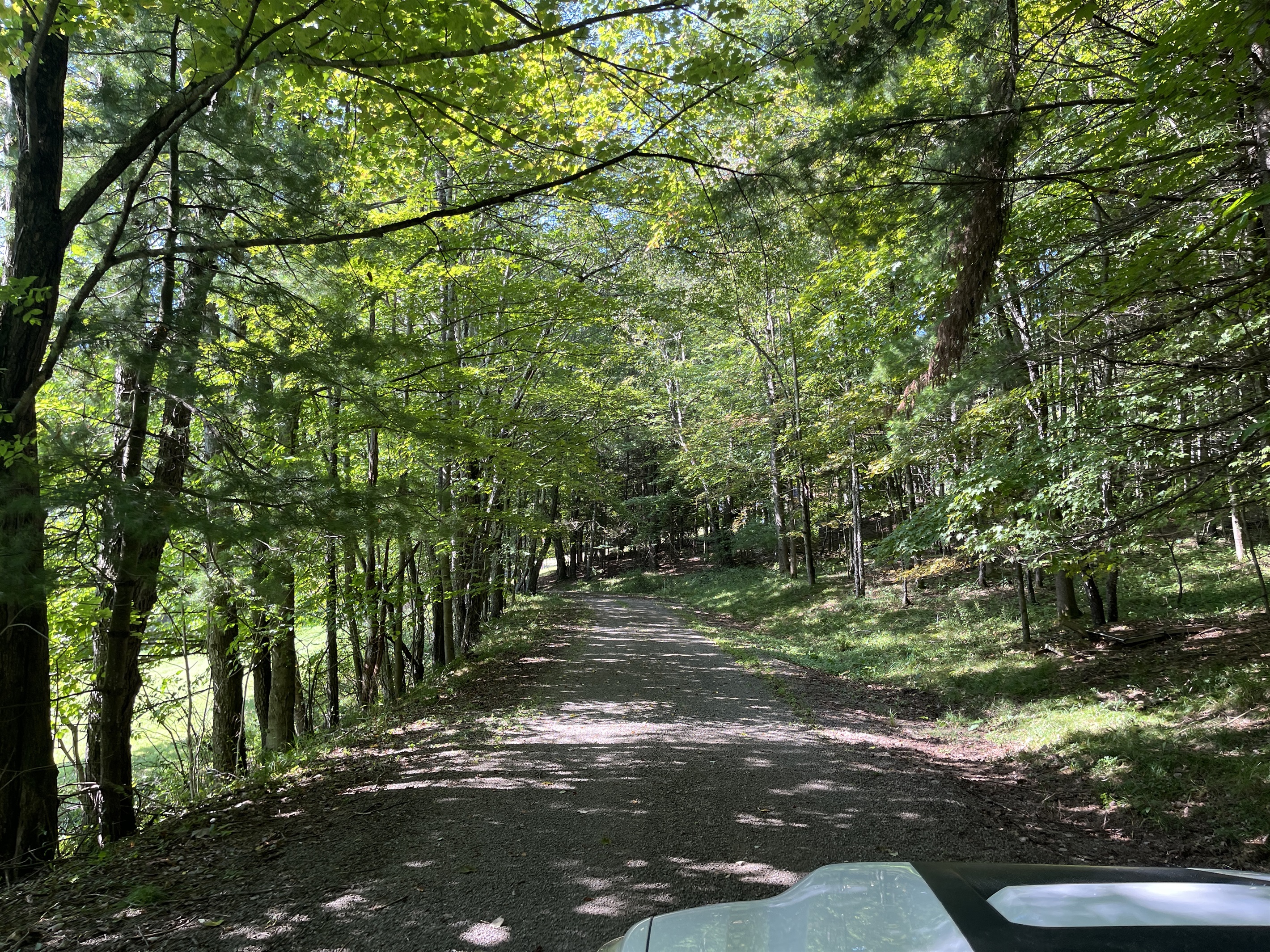 Almost there, keep going!