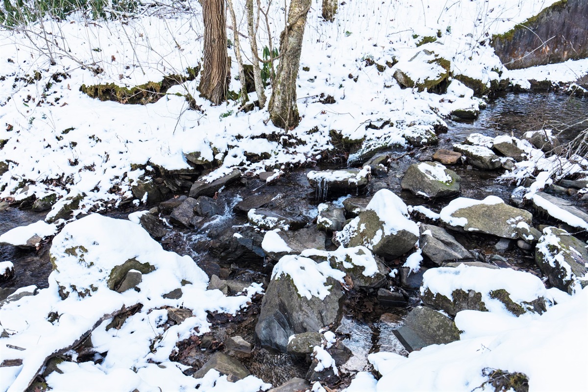 Little creek next to property