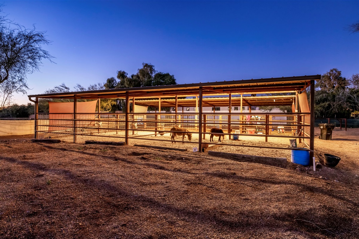 Wanna see some mini donkey's? Ask and we will happy to bring them by!

NOTE: They are not on property, only available on request (and if they are available:)