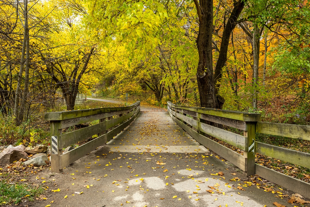 Happy Hollow Park has beautifully paved walking trails