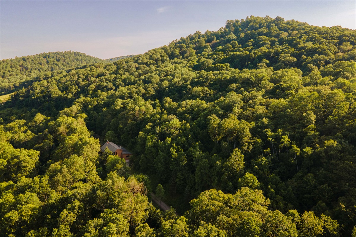 Nestled deep in the rolling hills, the cabin is surrounded by untouched wilderness.