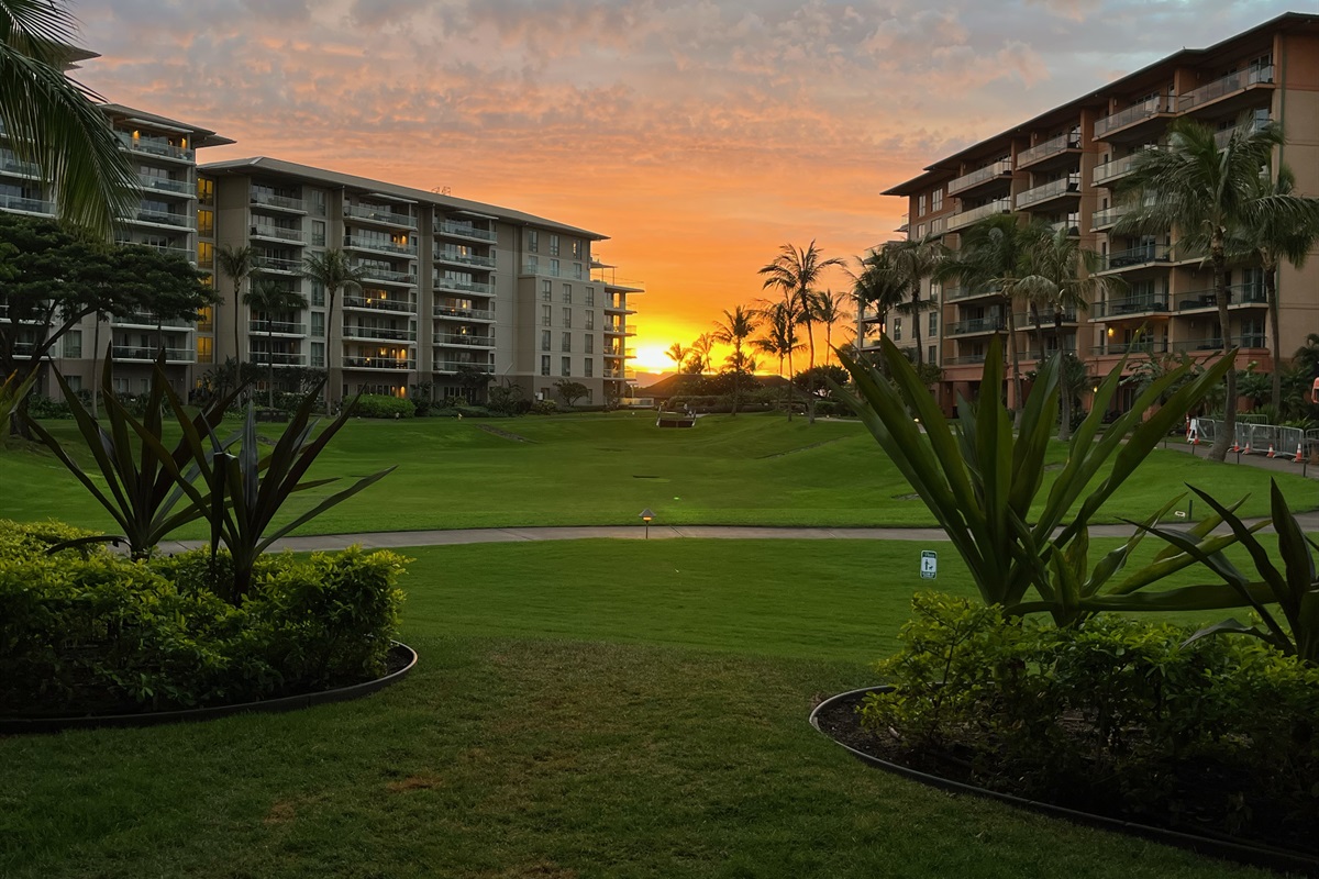 Beautiful sunsets