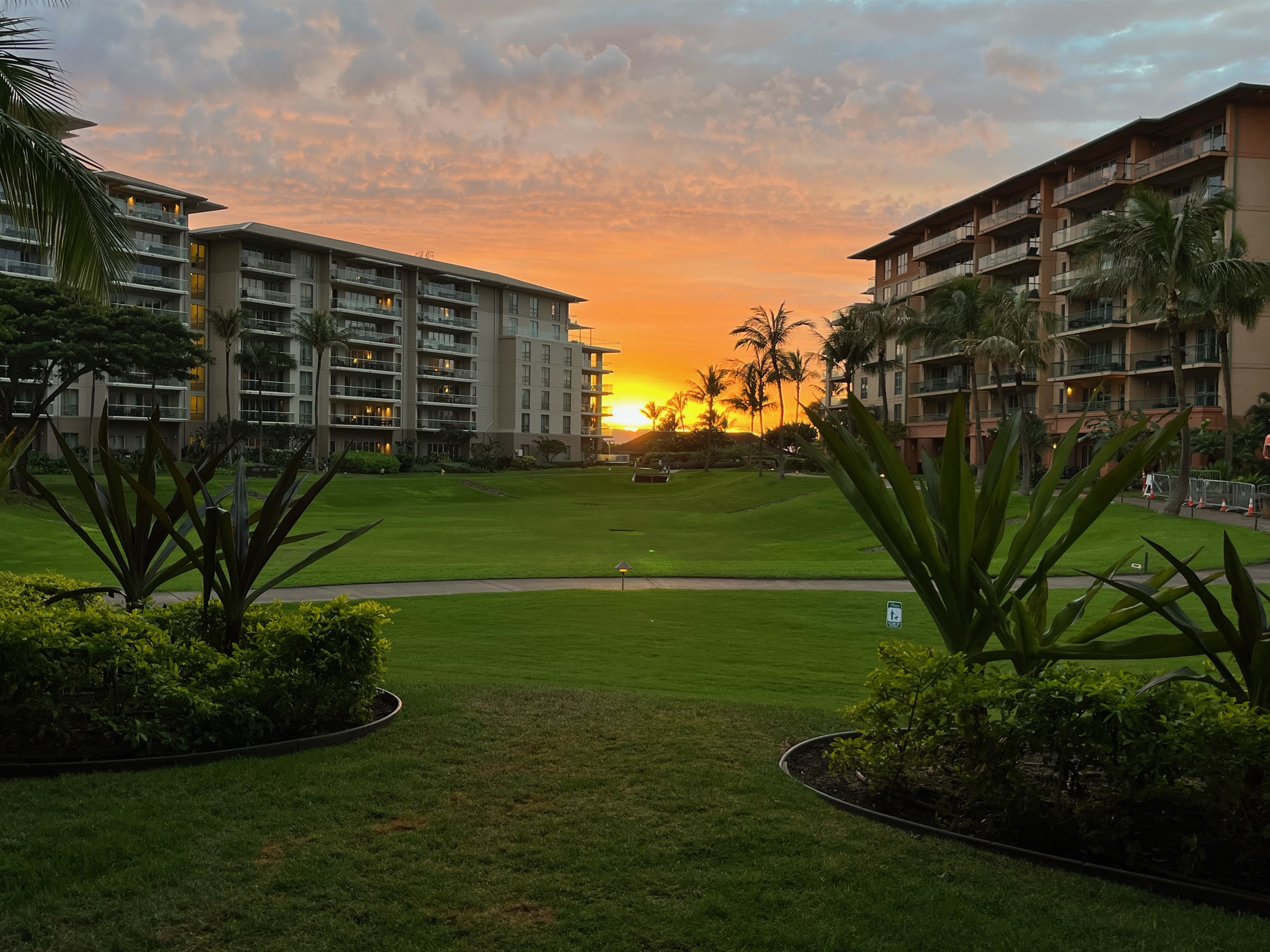 Beautiful sunsets