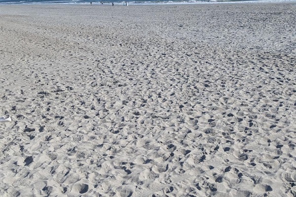 Our beautiful beach access, only 10 minutes walk away!