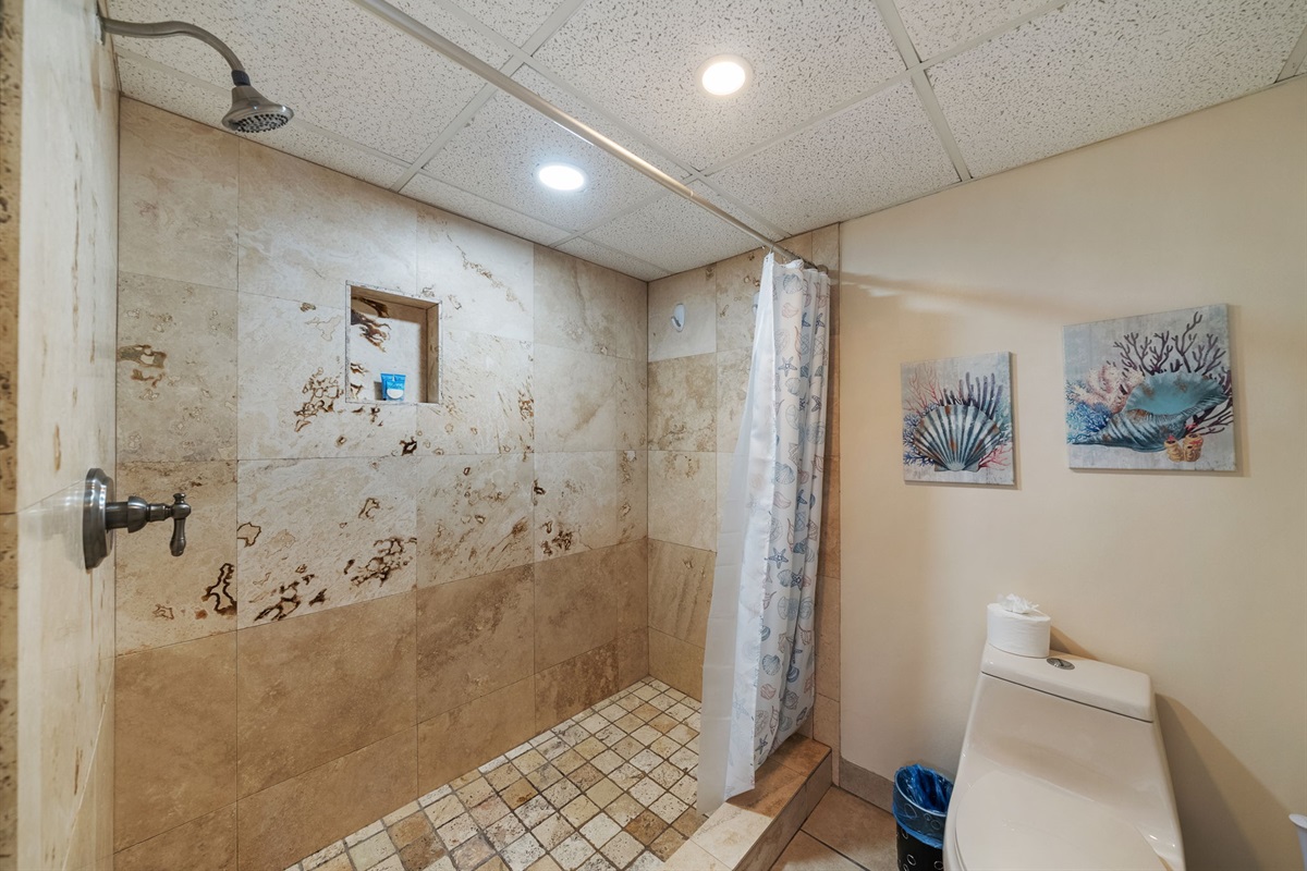 Walk-in shower