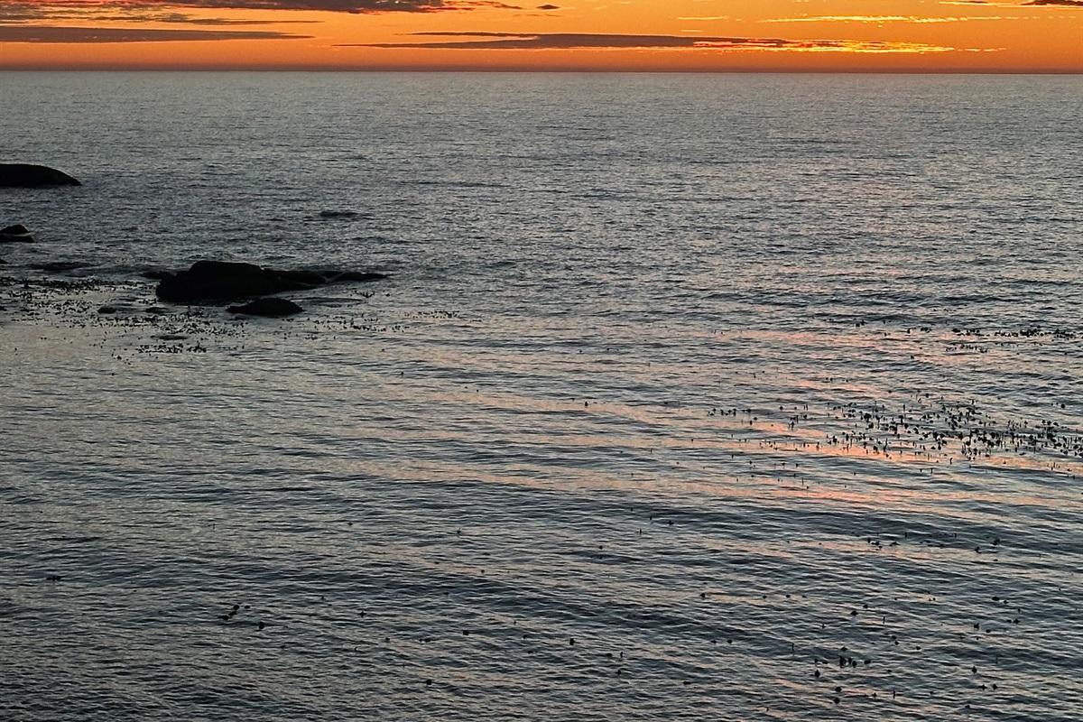 Sunsets every night
