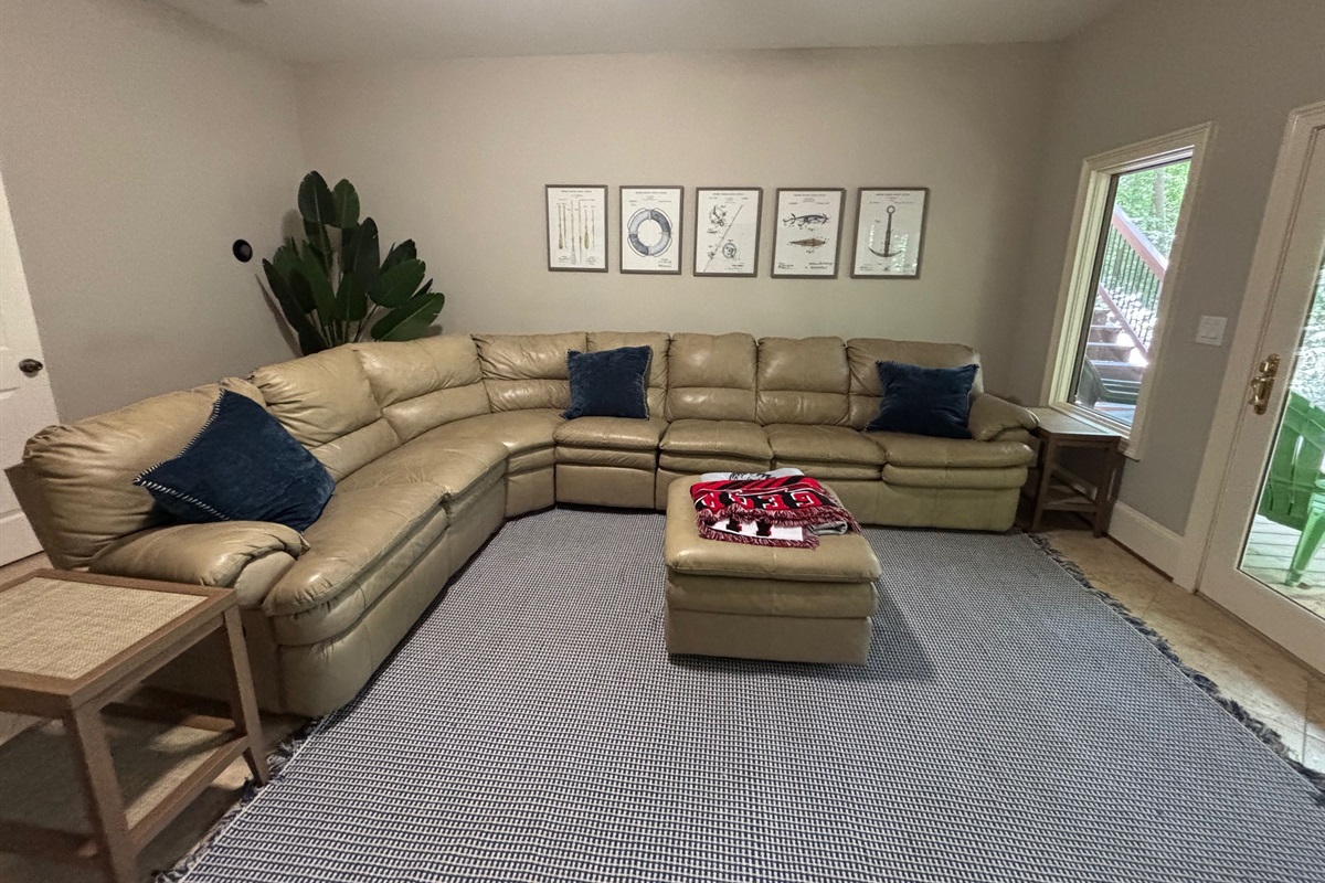 Downstairs TV Room