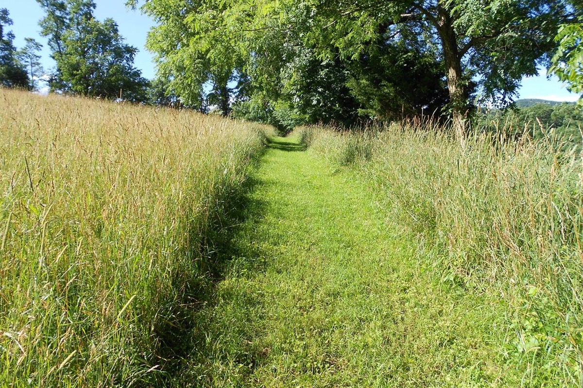 Walking path around our pasture