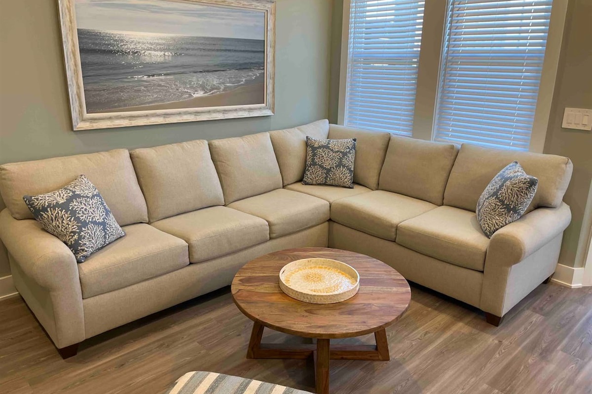 Living room with Queen pull out sofa. 