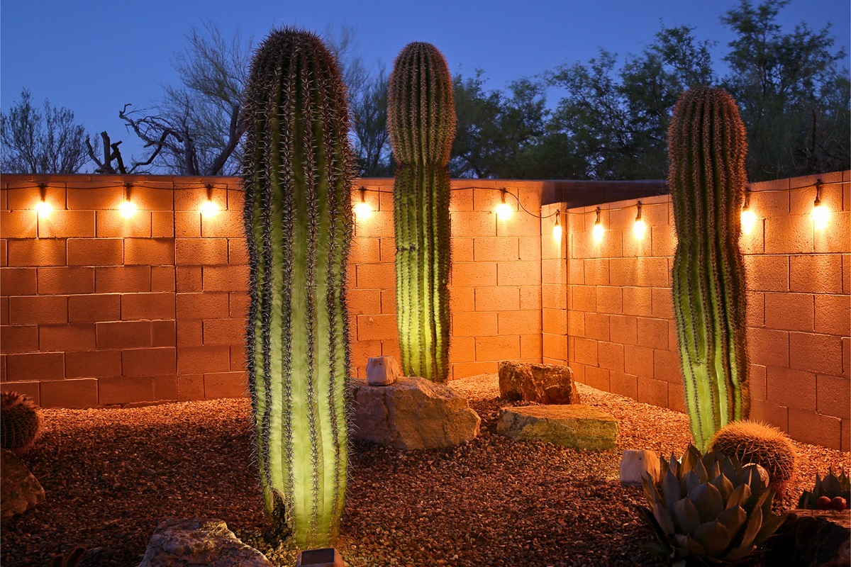 Beautiful desert landscaping adds to the enjoyment of the back yard day or night.
