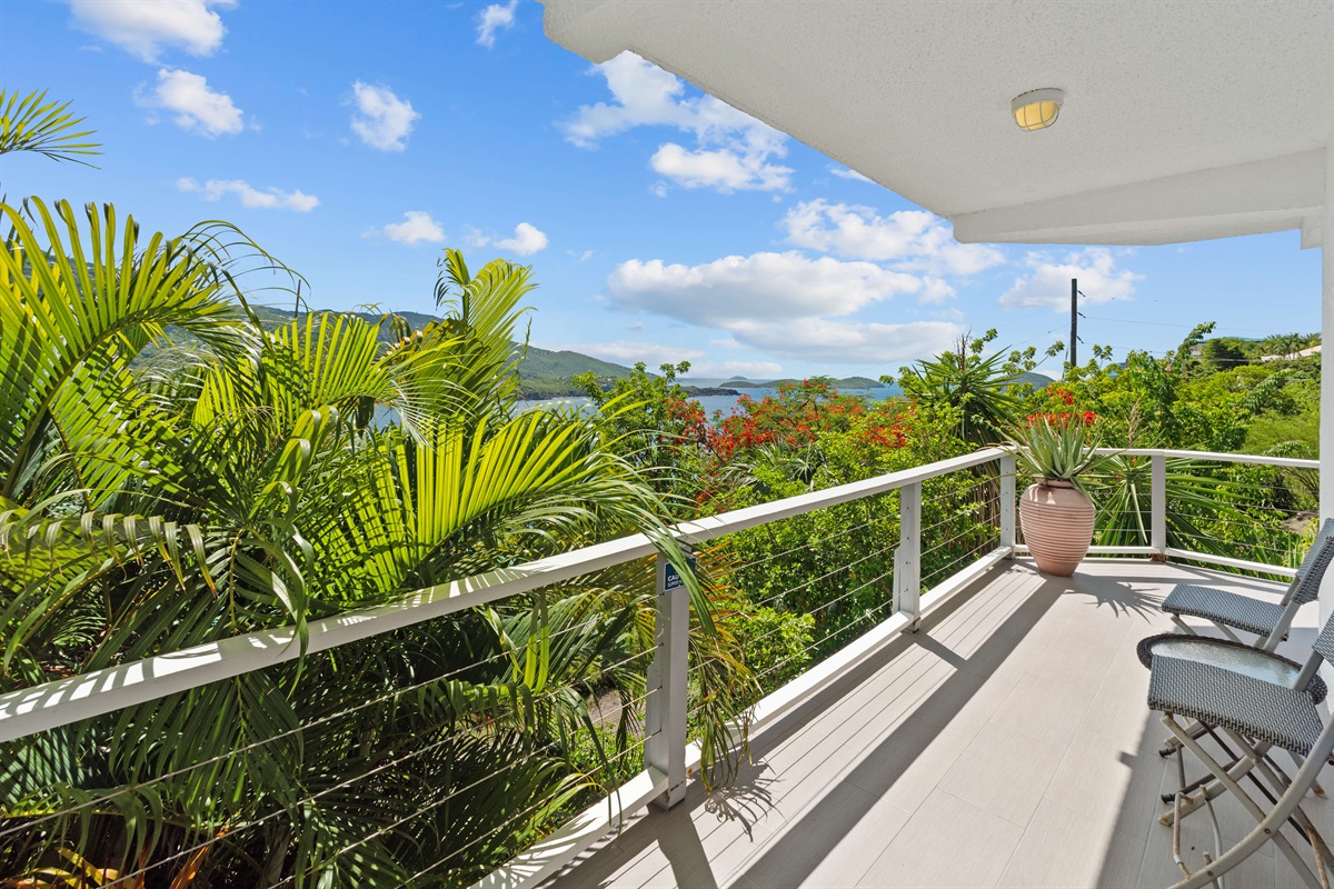 The lower apartment balcony, nestled in the palm trees.