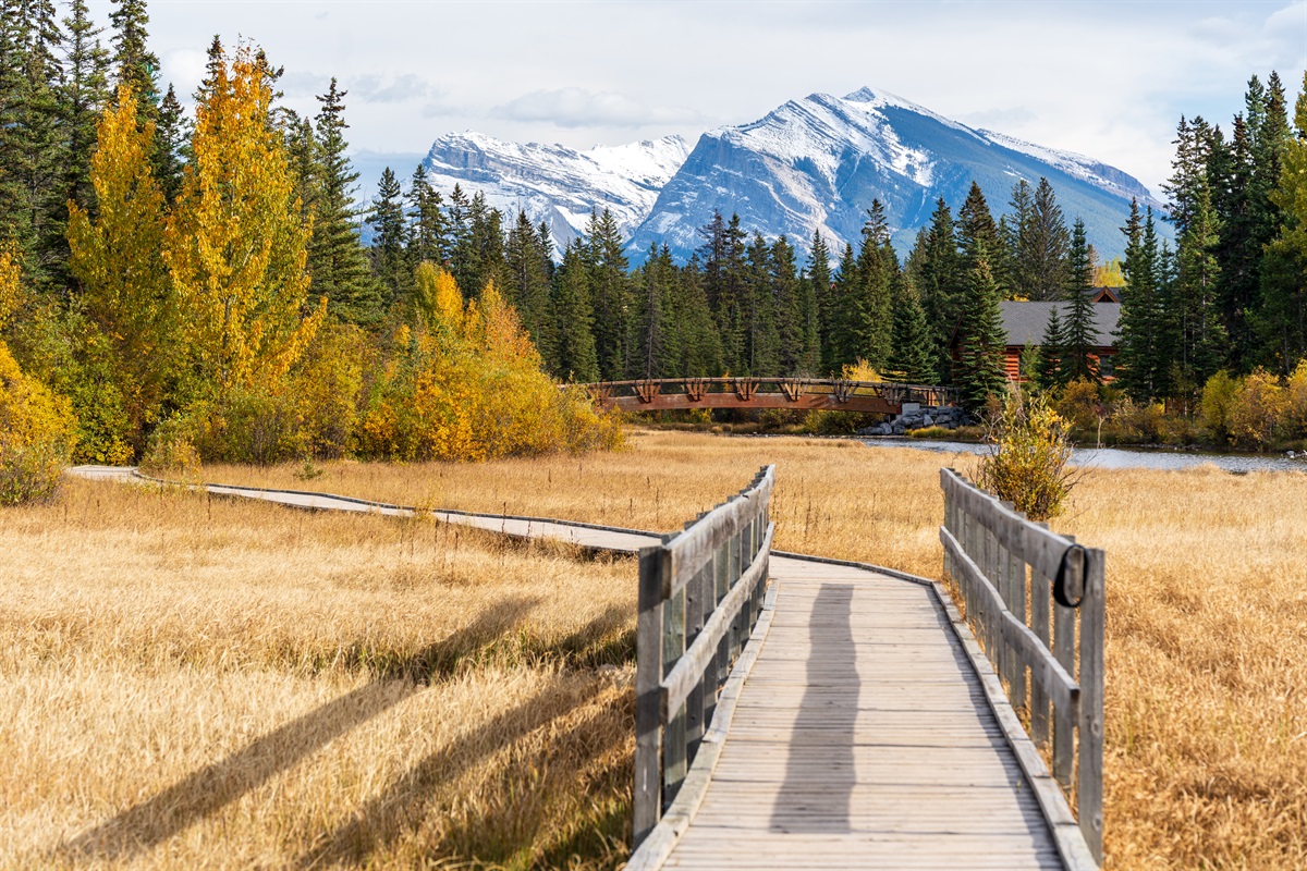 Policeman's Creek Boardwalk - Behind the building -  Canmore Downtown