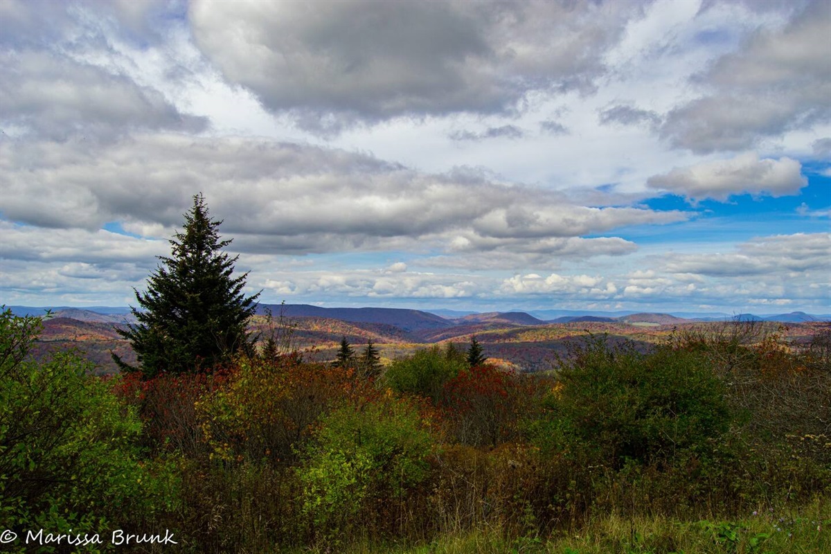 Autumn on Spruce Knob!