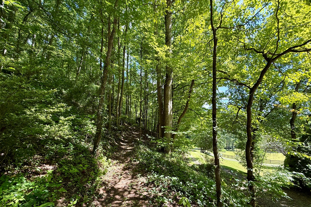 Hiking trails- Start here, see where it leads.
