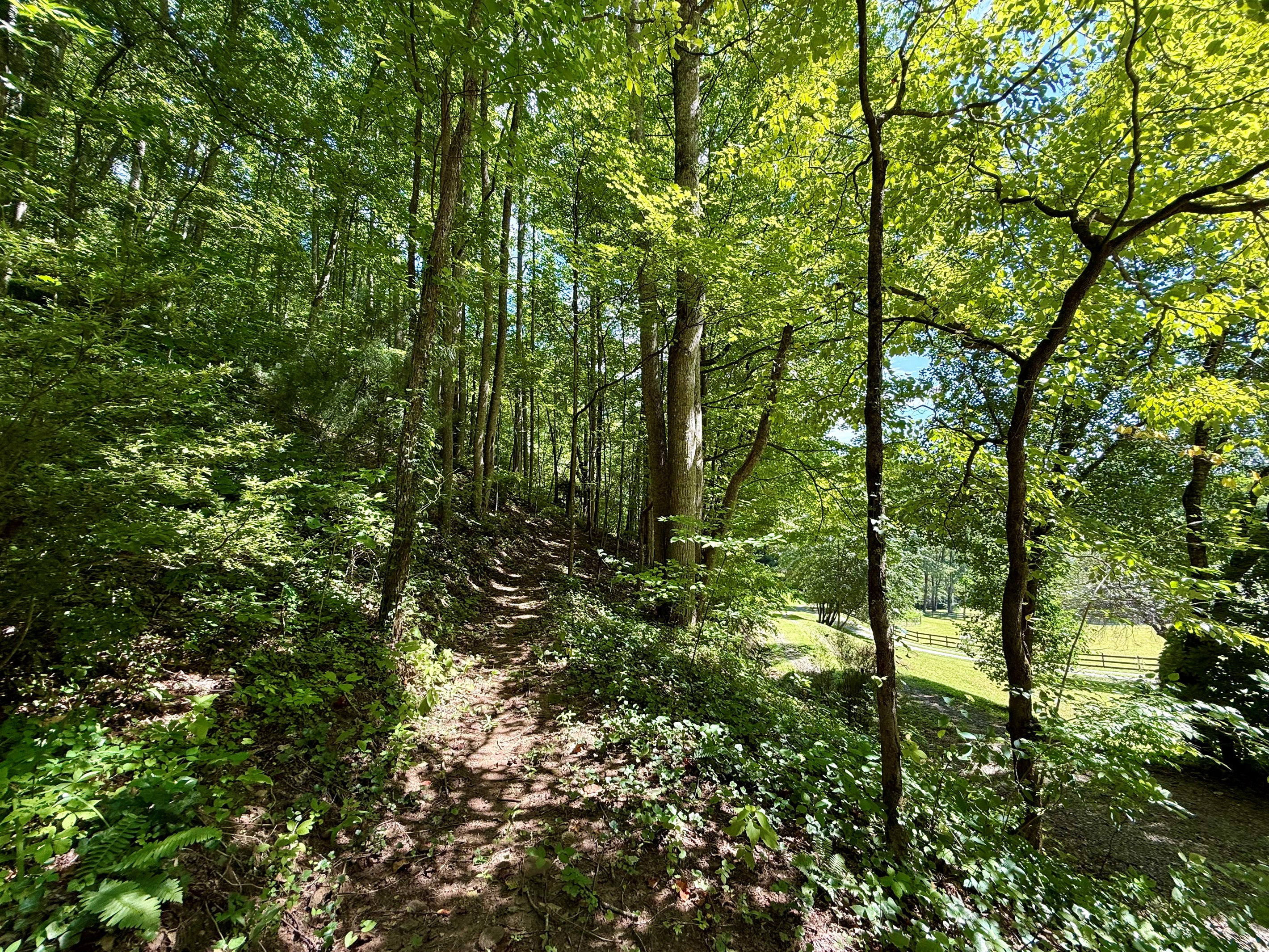 Hiking trails- Start here, see where it leads.