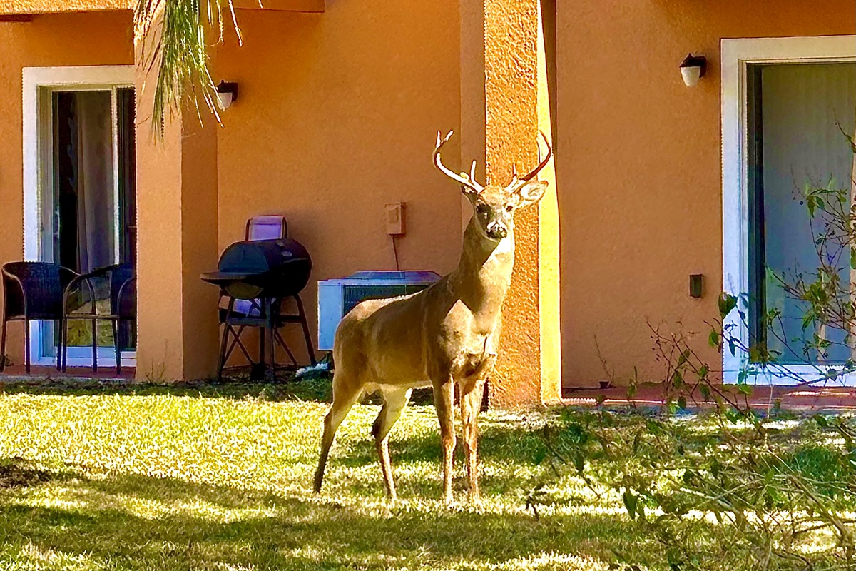 The buck stops here!