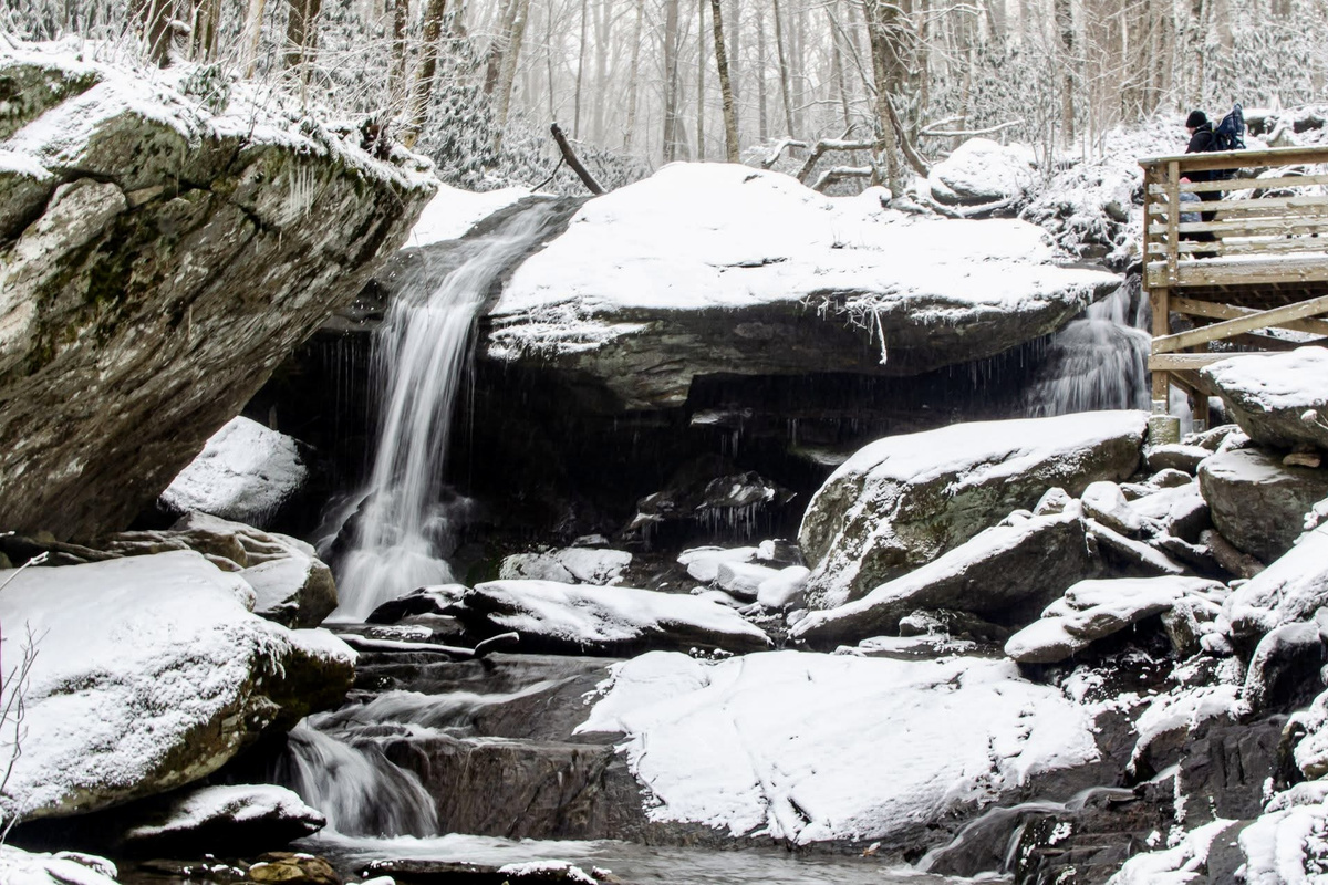 DO go chasing waterfalls! Otter Falls is walking distance! Several are close by, and many more within an hours' drive. If you enjoy hiking or strolling through the woods, we have lots of activities nearby for you in any season!