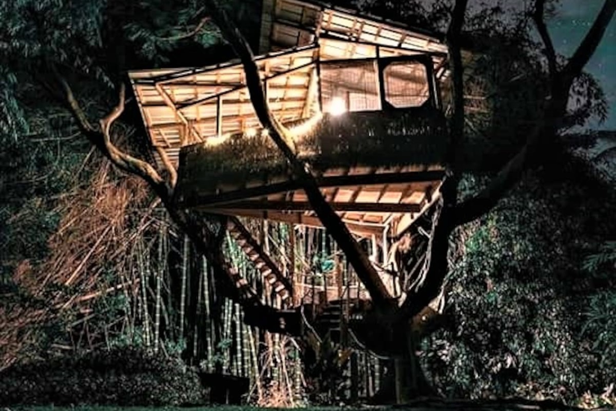 Night Glow at the Treehouse of Life